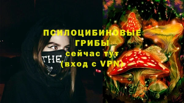 амф Шарыпово