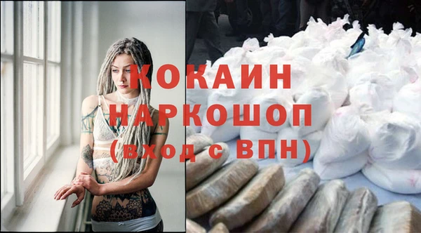 гашик Чердынь
