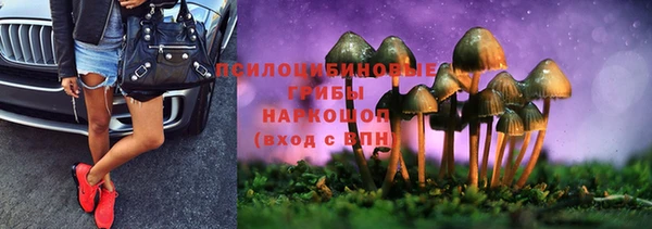 дживик Северо-Курильск