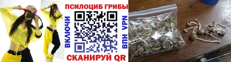 Псилоцибиновые грибы прущие грибы Безенчук